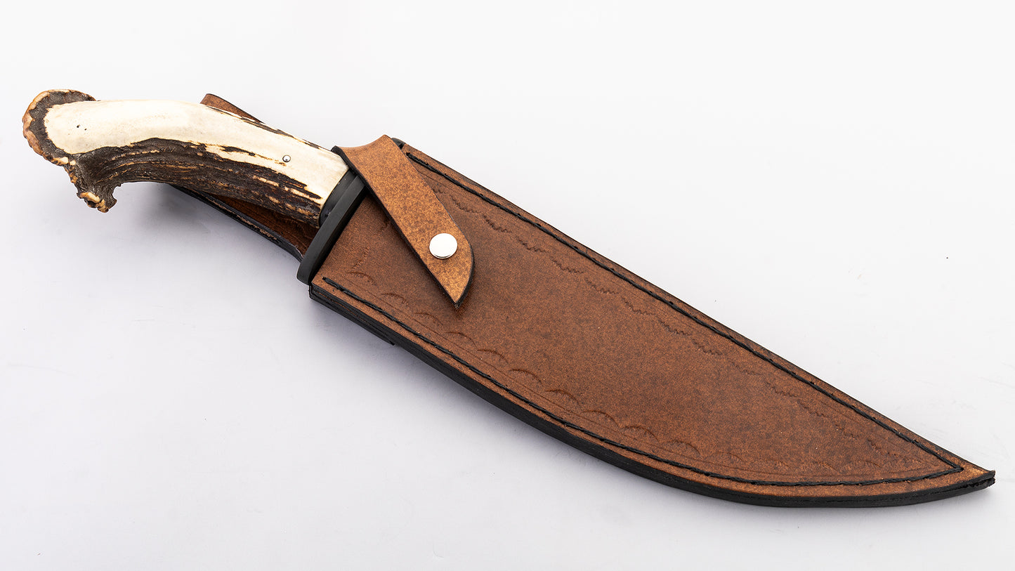 Black Bear Bowie - Guilherme Luz