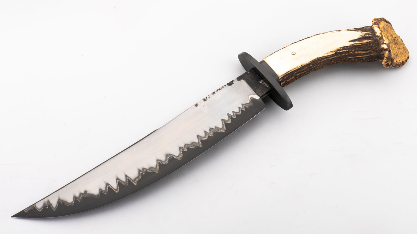 Black Bear Bowie - Guilherme Luz