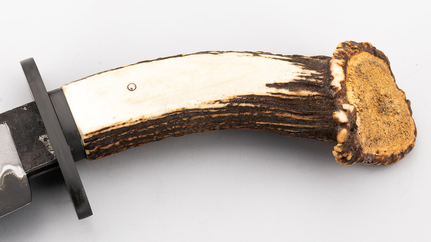 Black Bear Bowie - Guilherme Luz