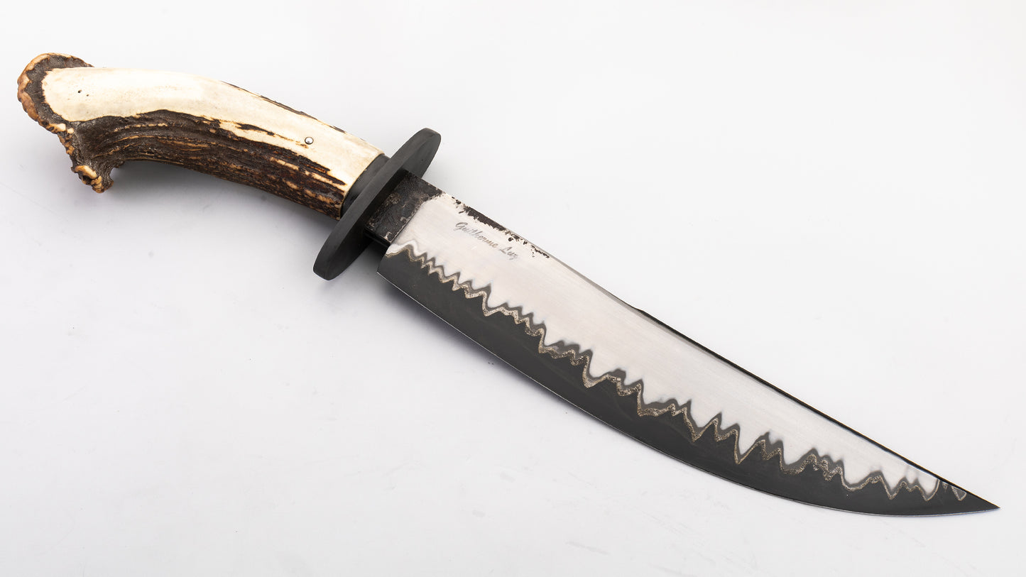 Black Bear Bowie - Guilherme Luz