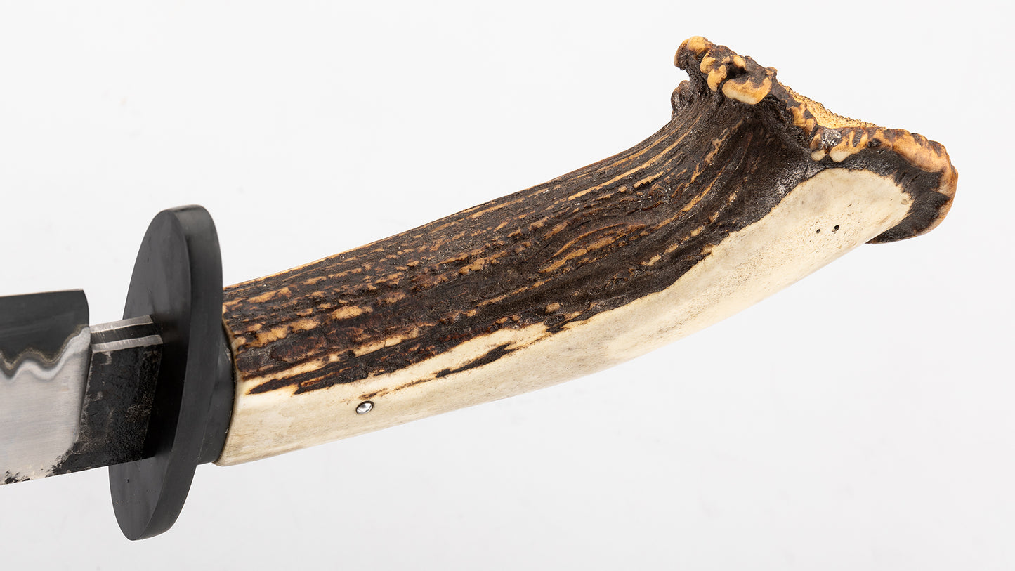 Black Bear Bowie - Guilherme Luz
