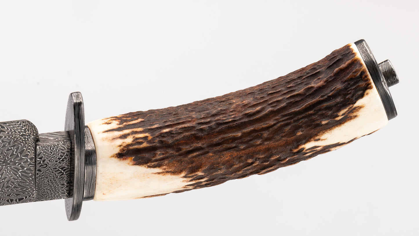 Damascus Bowie -Fabian Prandini