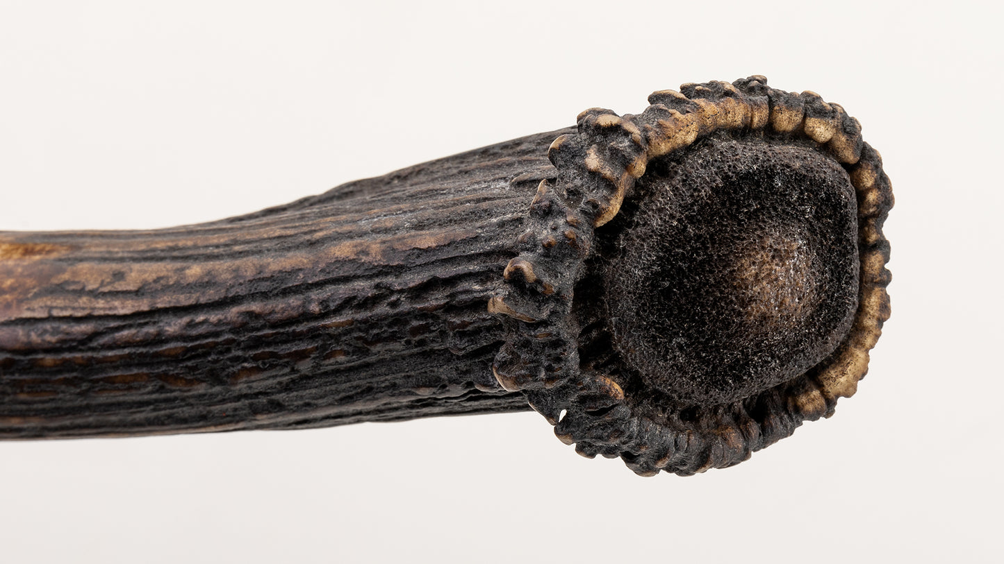 San Mai Dagger - CAS Claudio Sobral