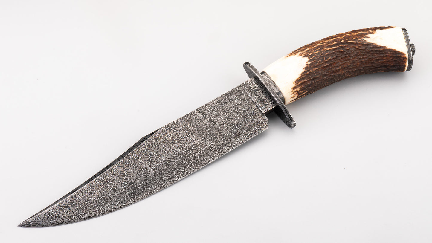 Damascus Bowie -Fabian Prandini