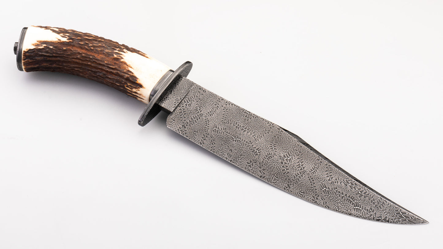 Damascus Bowie -Fabian Prandini