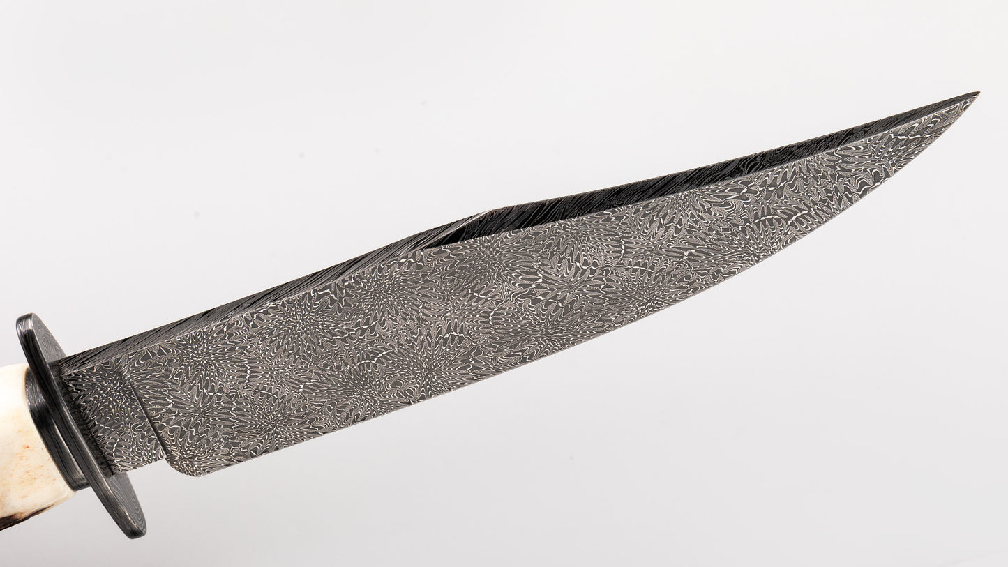 Damascus Bowie -Fabian Prandini
