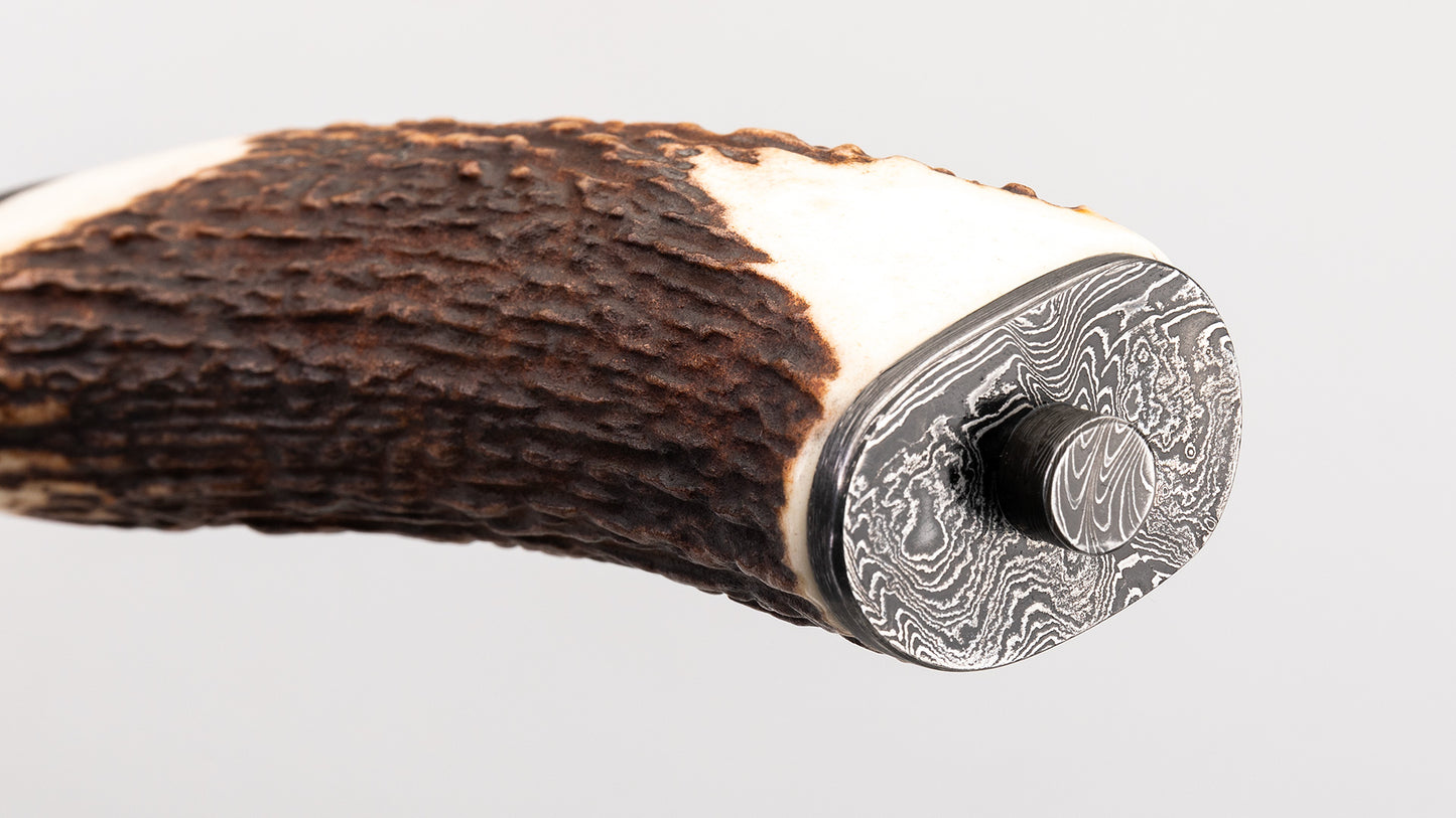 Damascus Bowie -Fabian Prandini