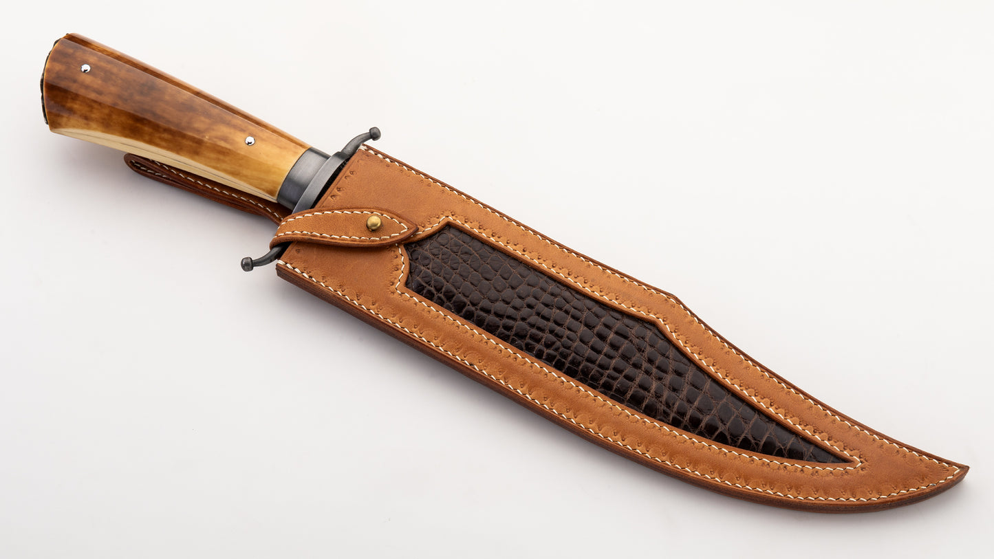 25th Years Anniversary Bowie - James R. Cook MS