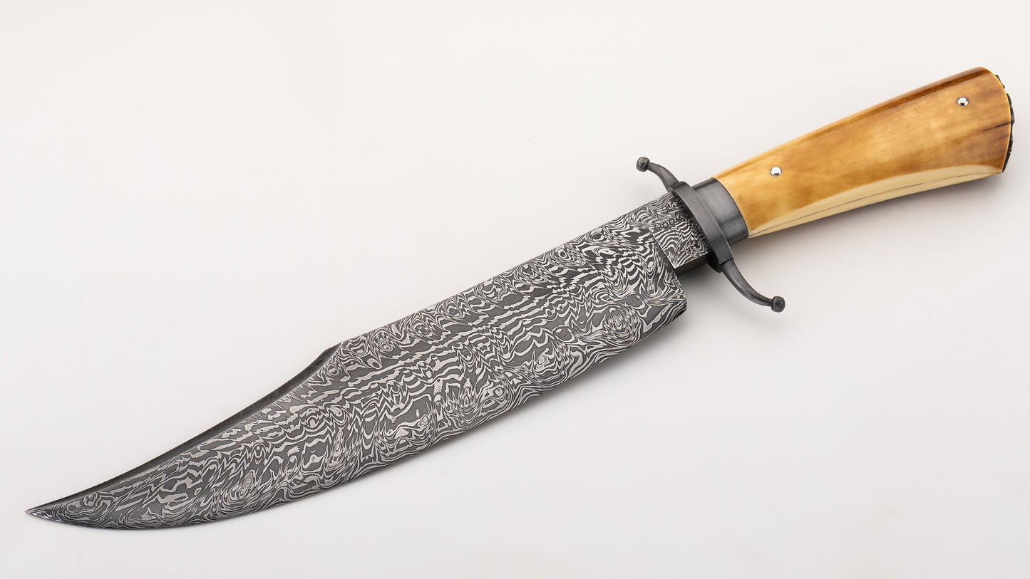 25th Years Anniversary Bowie - James R. Cook MS