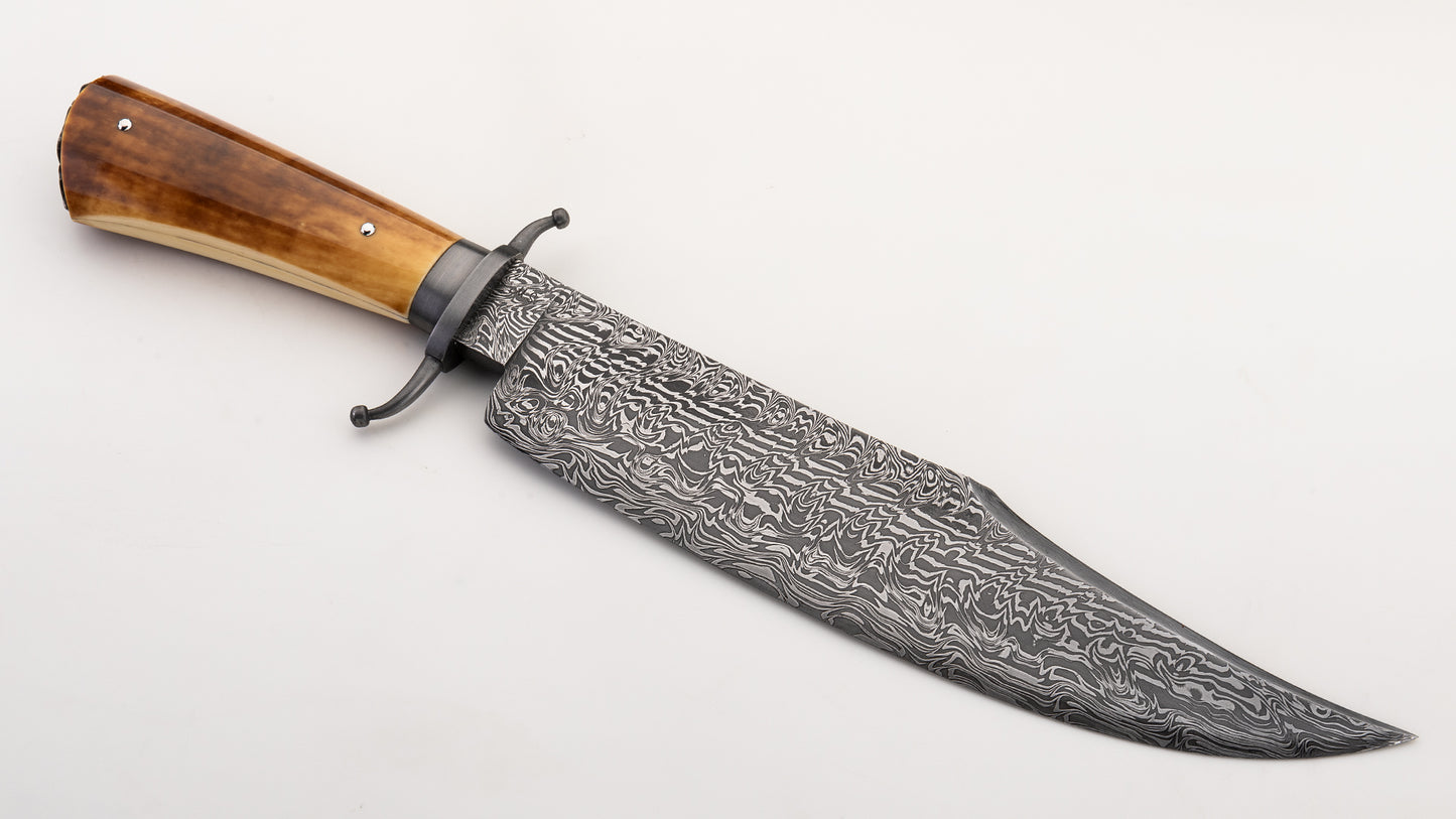 25th Years Anniversary Bowie - James R. Cook MS